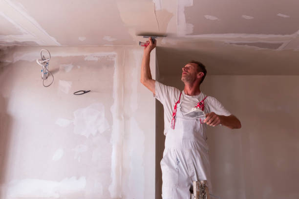 Best Drywall Installation  in USA